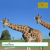 1520708_512048332164982_2017267920_n